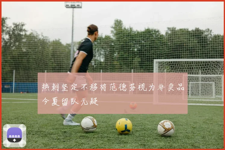 热刺坚定不移将范德芬视为非卖品今夏留队无疑